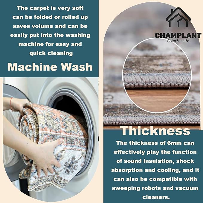 CHAMPLANT Washable Area Rug 9x12 Boho Chic Medallion Distressed Design - Image 3