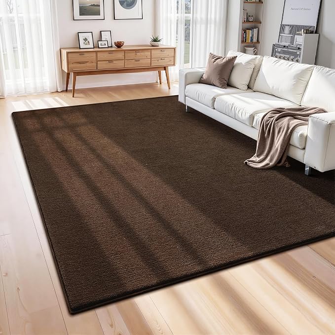 ISEAU 5x7 Rug for Living Room, Soft Memory Foam Carpet - Image 4