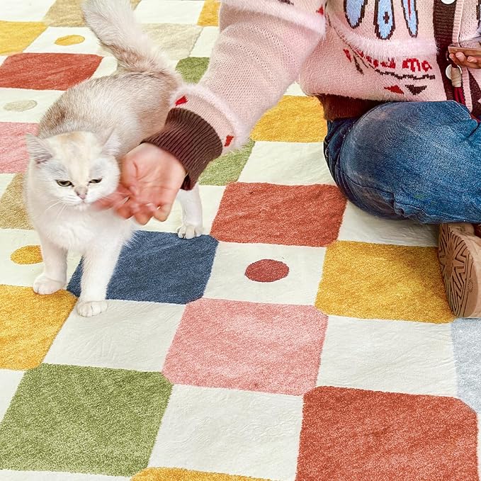 jinchan Macy 5ft Round Rug for Kids Room Modern Colorful Checkered Diamond - Image 5