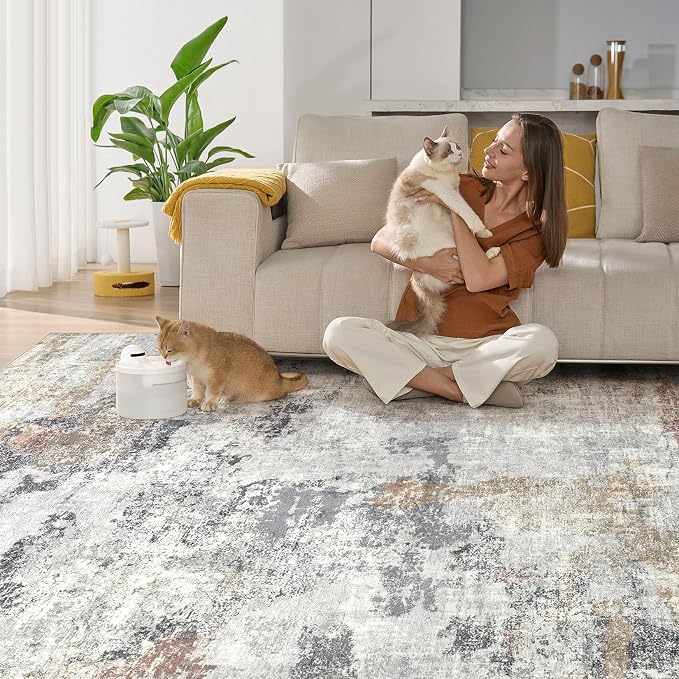 DMOYEST 6x9 Area Rug - Image 4