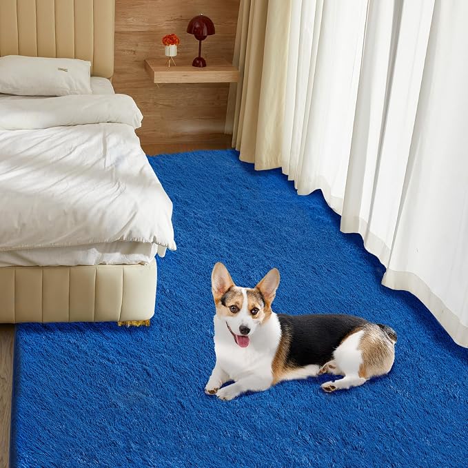 Ultra Soft Rug for Living Room, 4X6 Fluffy Shag Area Rug for Bedroom, Modern - Image 5