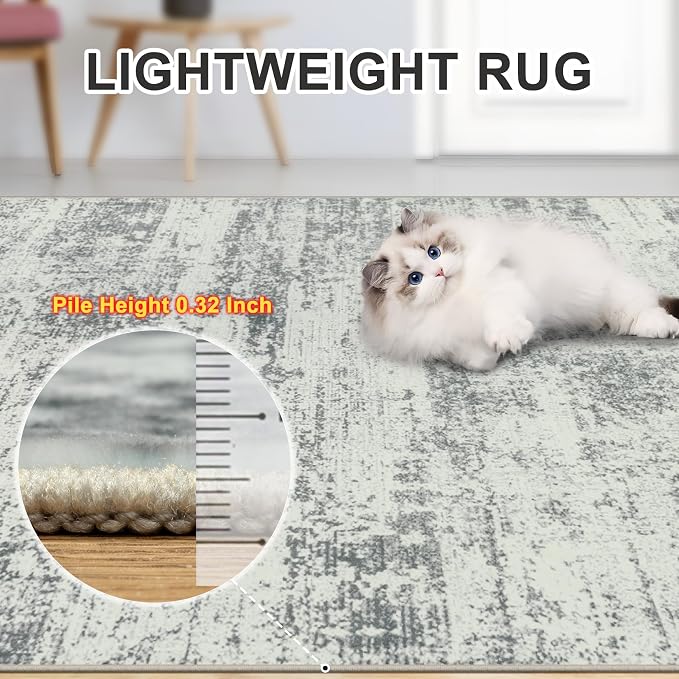 6x9 Area Rugs for Living Room - Image 7