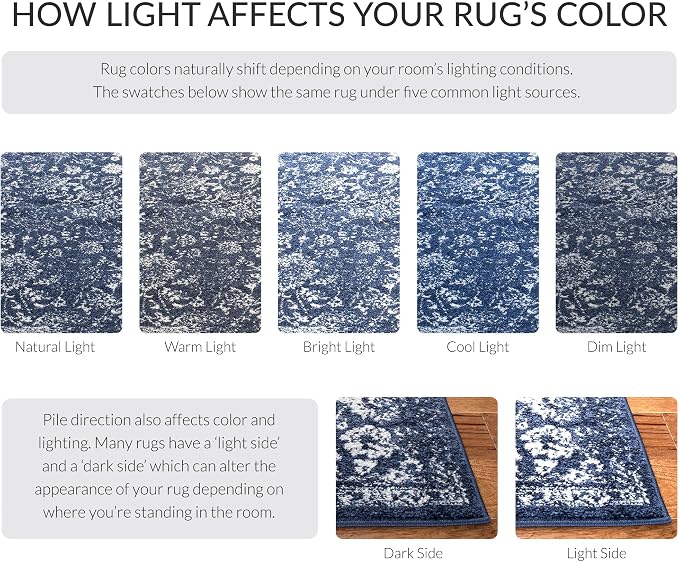 SAFAVIEH Adirondack Collection Area Rug - Image 5
