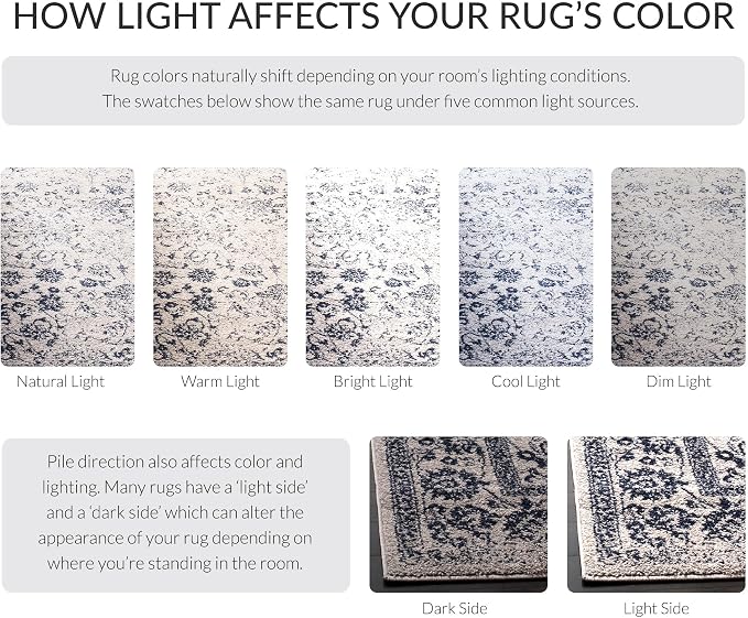 SAFAVIEH Adirondack Collection Area Rug - Image 5