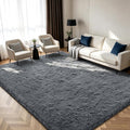 Shag Area Rugs for Bedroom Living Room, 4X6 Ultra Soft Fluffy Area Rugs for Dorm by Boshengya