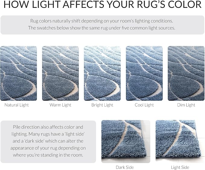 SAFAVIEH Florida Shag Collection Accent Rug - Image 8