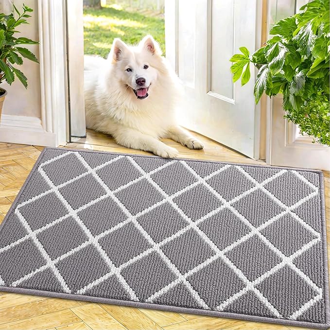 Finchitty Indoor Door Mat, Dirt Resistant and Absorbent, Low-Profile, Washable by Finchitty