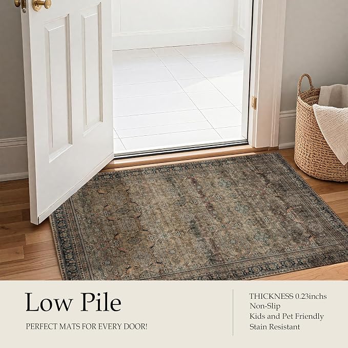 Ruaruarug Washable Area Rug 2x3 - Image 4