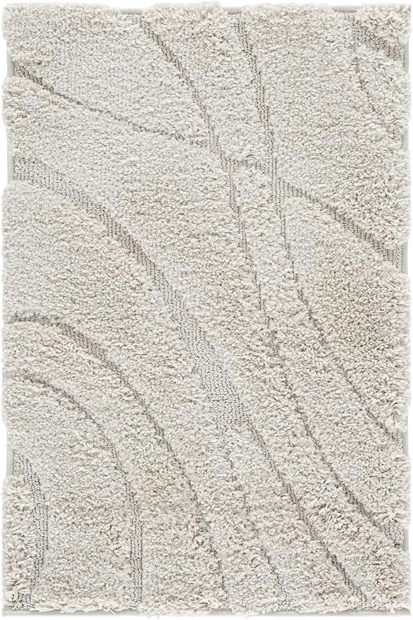 SAFAVIEH Florida Shag Collection Accent Rug - Image 3