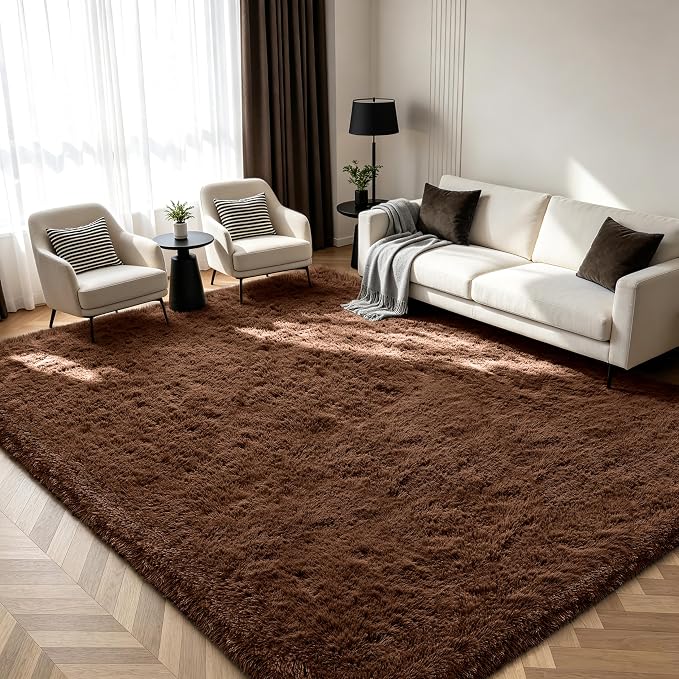 Shag Area Rugs for Bedroom Living Room, Indoor Carpet Plush Rugs for Living by Boshengya