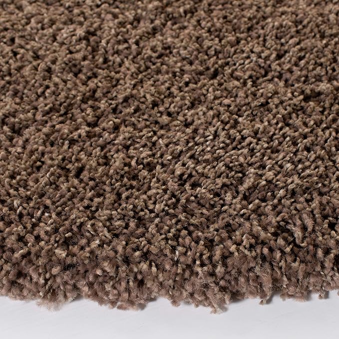SAFAVIEH Area Rug 4x6 - Image 8