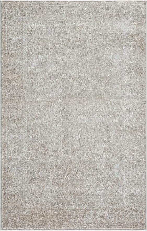 SAFAVIEH Accent Rug 3x5 - Image 2