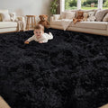 4x6 Area Rug for Living Room:Ultra Soft Fluffy Shag Black Rugs, Large Fuzzy by Unknown
