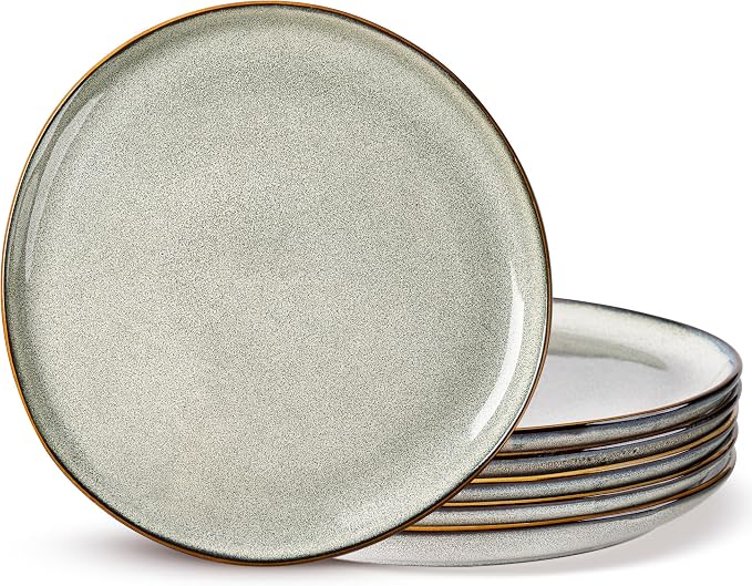 AmorArc Ceramic Plates Set of 6, 8.5 Inch Stoneware Small Dinner Plates Set | by AmorArc