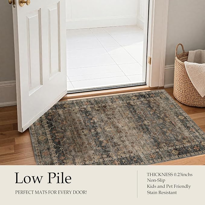 Ruaruarug Washable Area Rug 2x3 - Image 5