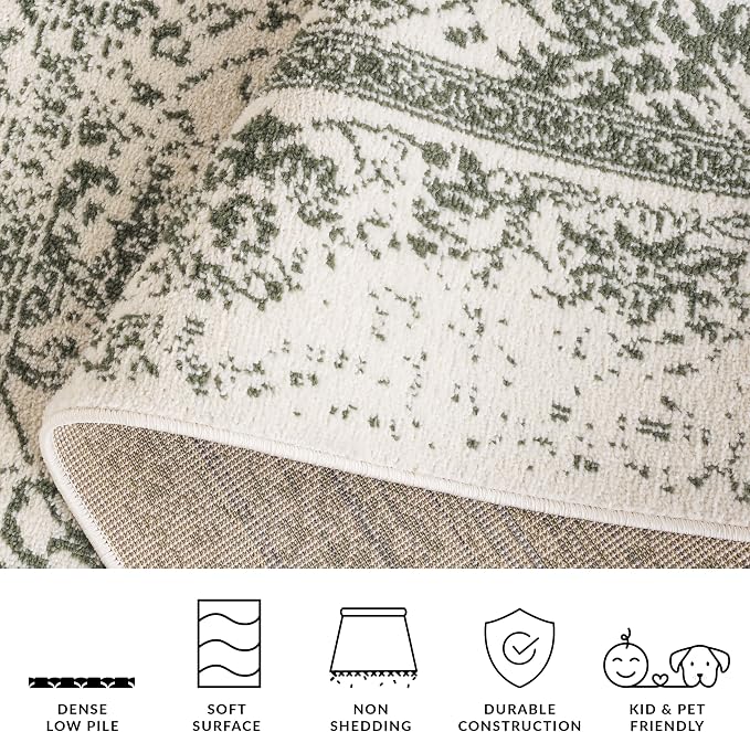 SAFAVIEH Adirondack Collection Area Rug - Image 8