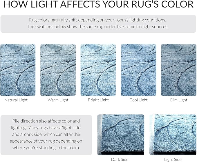 SAFAVIEH Florida Shag Collection Area Rug - Image 6