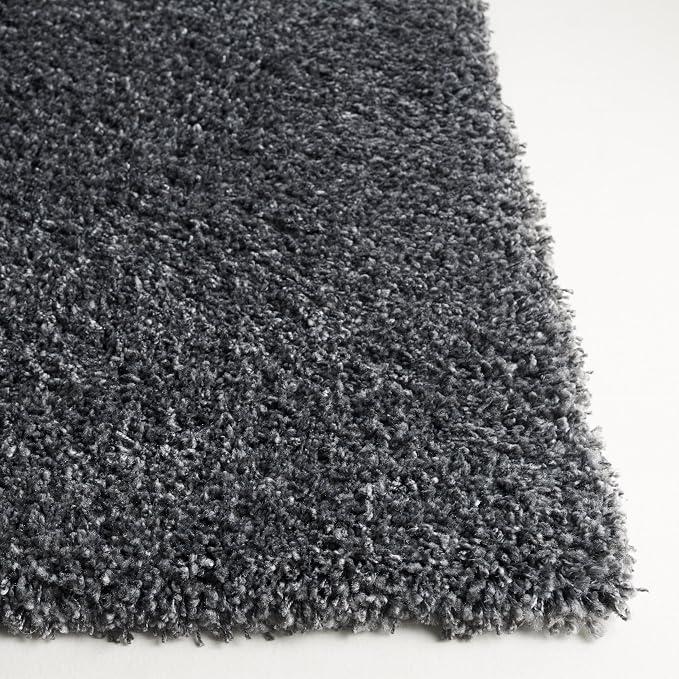 SAFAVIEH Area Rug 4x6 - Image 4