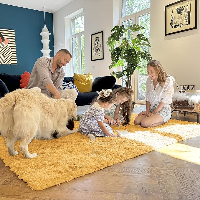 OLANLY 5x7 Machine Washable Large Area Rugs - Image 7