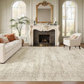 Soalmost 7x10 Area Rug for Living Room Washable Abstract Vintage Soft Thin by Soalmost