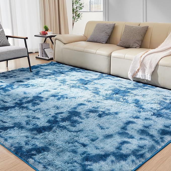 Ultra Soft Rug for Living Room, 4X6 Fluffy Shag Area Rug for Bedroom, Modern by Fairblink