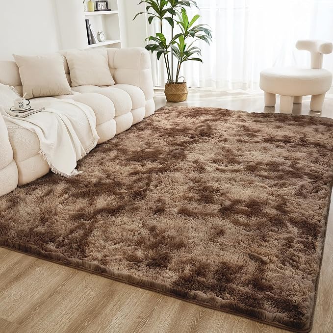 Litanika 4x6 Shag Area Rug for Living Room Bedroom, Tie-Dyed Brown High Pile by Litanika