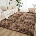 Litanika 4x6 Shag Area Rug for Living Room Bedroom, Tie-Dyed Brown High Pile by Litanika