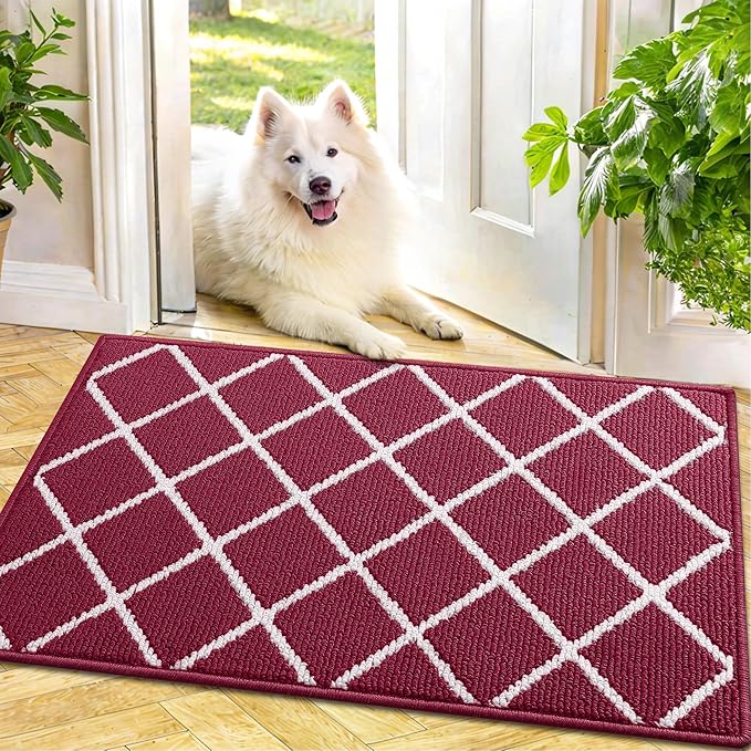 Finchitty Indoor Door Mat, Dirt Resistant and Absorbent, Low-Profile, Washable by Finchitty