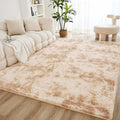 Litanika 4x6 Shag Area Rug for Living Room Bedroom, Tie-Dyed Beige High Pile by Litanika