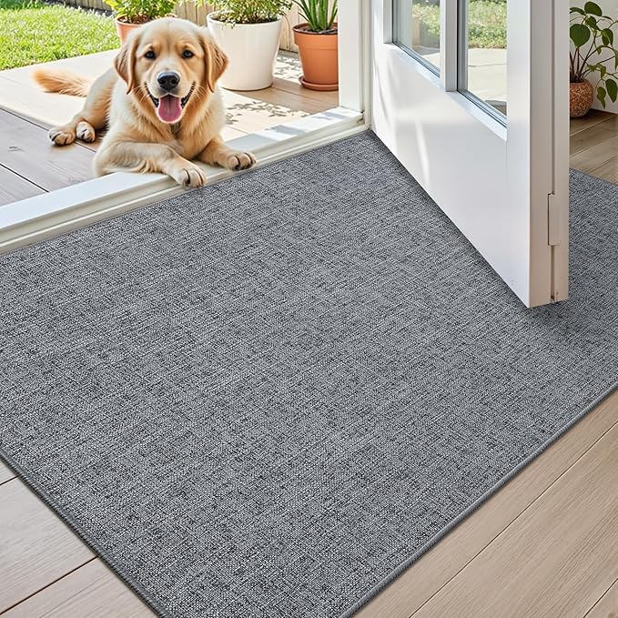 Color&Geometry Ultra Thin Indoor Door Mat 48"x72", Non Slip Rubber Backed Dirt by COLORG