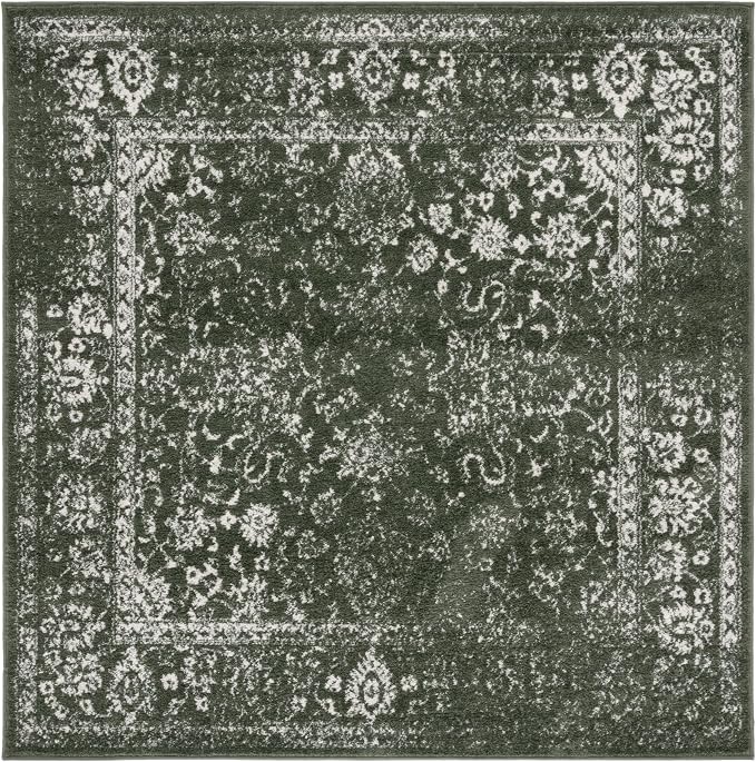 SAFAVIEH Adirondack Collection Area Rug by Unknown