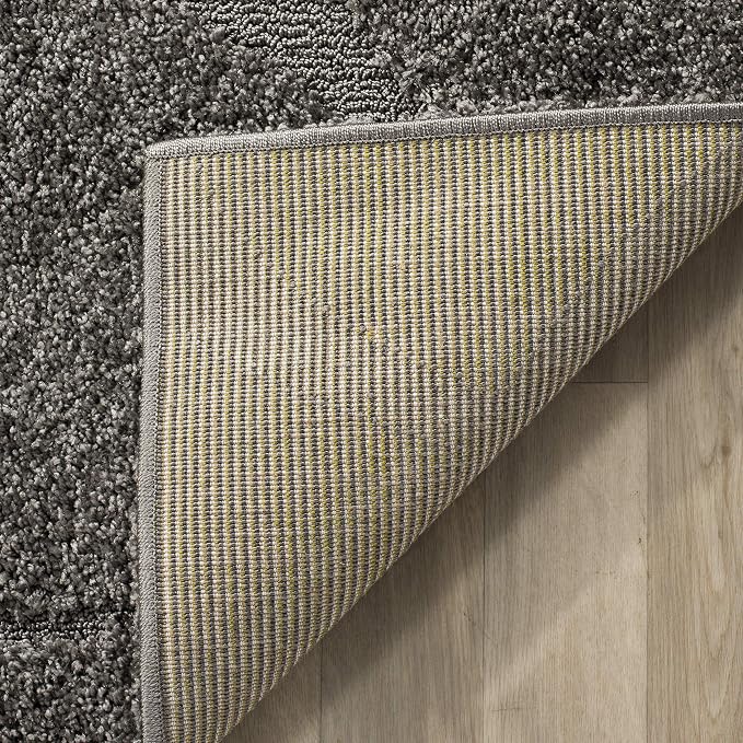 SAFAVIEH Florida Shag Collection Area Rug - Image 4