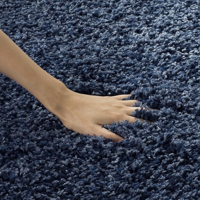 SAFAVIEH Area Rug 11x15 - Image 8