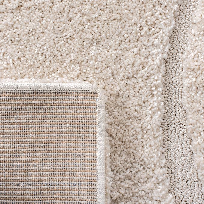 SAFAVIEH Area Rug 8x10 - Image 8