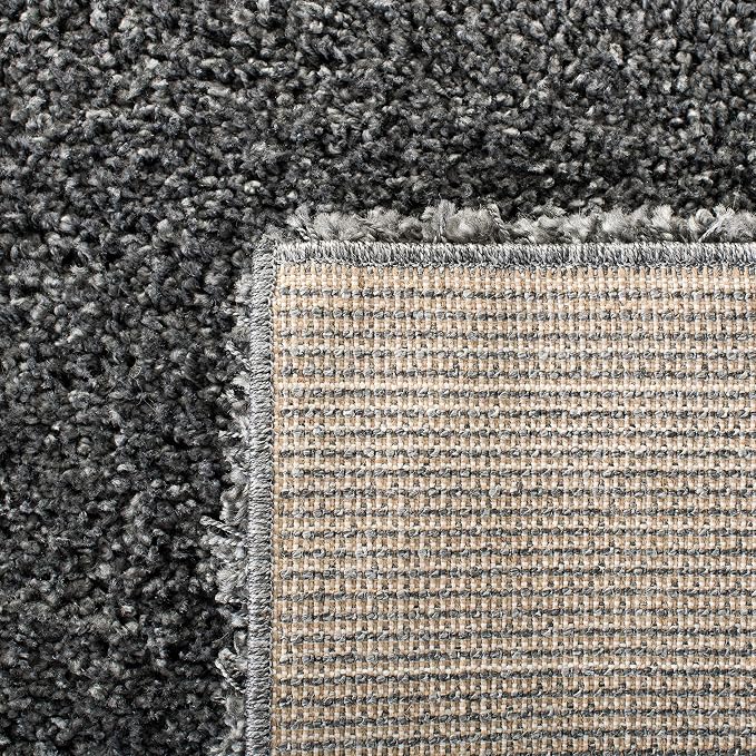 SAFAVIEH Area Rug 4x6 - Image 9