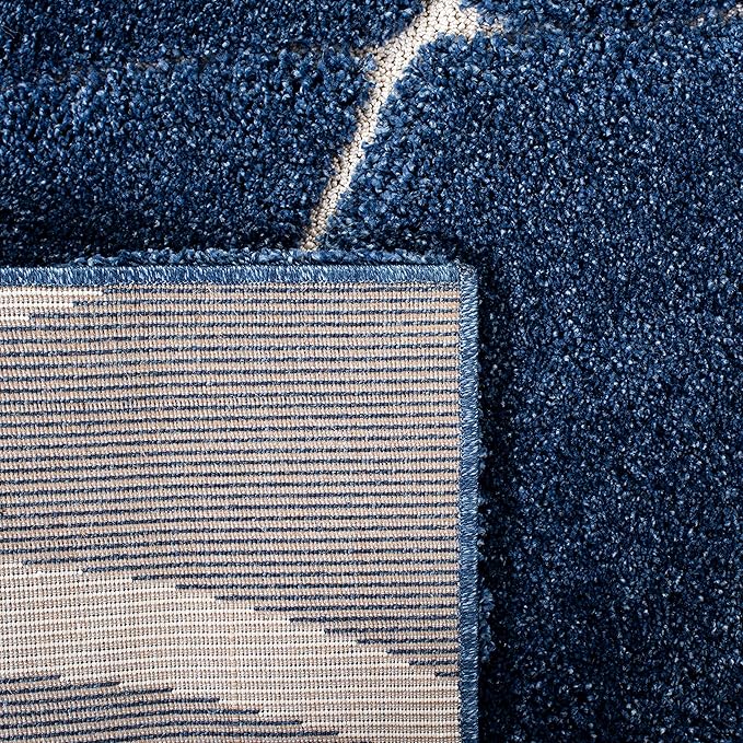 SAFAVIEH Area Rug 11x15 - Image 8
